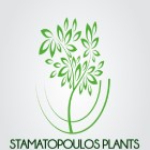 Stamatopoulos Plants