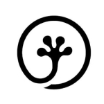 Gekko Concepts