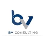 BV Consulting