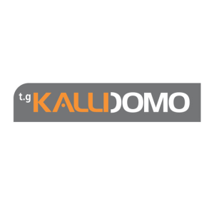 Kallidomo Technical company