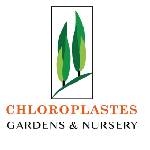 Sponsor image